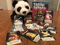 4295202 Trash Pandas