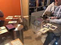 4561870 Tournament at Camelot