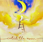 3740607 Catch the Moon