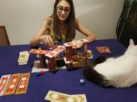 3911062 Rhino Hero: Super Battle