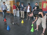 302626 Treehouse (Pink Edition)