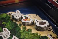 4120405 HUNGER: The Show