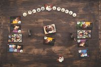 3829111 Purrrlock Holmes