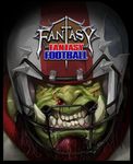 3409004 Fantasy Fantasy Football