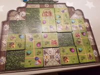 3807465 Rajas of the Ganges