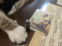 6691204 Grimslingers: The Northern Territory