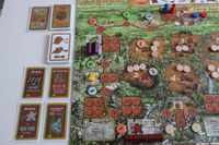 3806922 Lignum (Seconda Edizione Tedesca)