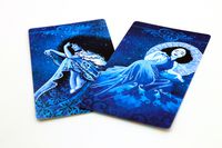 4084177 Die Dame und der Tiger