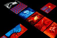 4108286 Die Dame und der Tiger