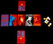 4108289 Die Dame und der Tiger