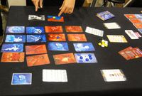 4407237 Die Dame und der Tiger