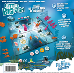 3617847 Little Big Fish