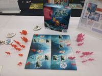 3818787 Little Big Fish (Edizione Francese)