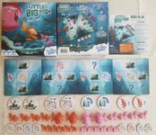 5981357 Little Big Fish (Edizione Francese)