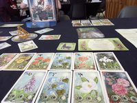 4188068 Dance of the Fireflies