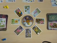 4189084 Dance of the Fireflies