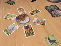 5164440 Dance of the Fireflies