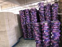 4265426 Neon Knights: 2086