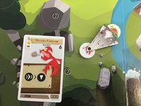 3674033 Catacombs: Wyverns of Wylemuir