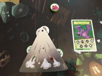 3674037 Catacombs: Wyverns of Wylemuir