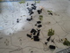 1118704 Axis & Allies: Battle of the Bulge