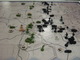 161913 Axis & Allies: Battle of the Bulge