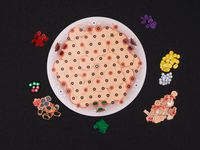 4133479 Frutti di Mare: Veni, Vidi, Antipasti!