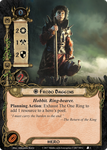 3508594 The Lord of the Rings: The Card Game – The Mountain of Fire