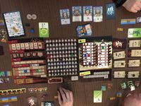 3563622 Emperor's Choice