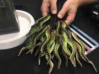 3788696 Tower of Madness