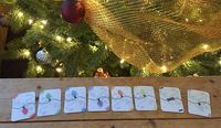 3890670 Christmas Lights: A Card Game