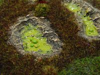 4096932 Runewars Miniatures Game: Ankaur Maro – Hero Expansion