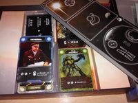 4004018 A Place in the Sun