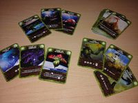 4004020 A Place in the Sun