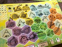 3751367 Sunflower Valley