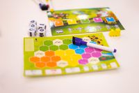 4384035 Sunflower Valley