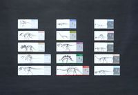 3588776 Lagerstätten