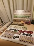 3816158 Lorenzo il Magnifico: Famiglie del Rinascimento