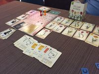 3616647 Tulip Bubble