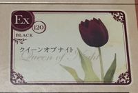 3619782 Tulip Bubble