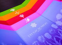 3678440 Tulip Bubble