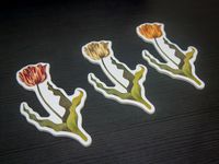 3678443 Tulip Bubble