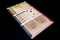 3678444 Tulip Bubble