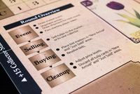 3678450 Tulip Bubble