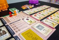 3678457 Tulip Bubble