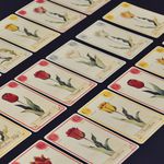 3779425 Tulip Bubble