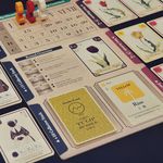 3779426 Tulip Bubble