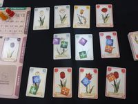 3886678 Tulip Bubble