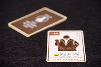 3906123 Tulip Bubble