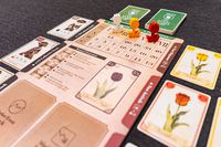 3906131 Tulip Bubble